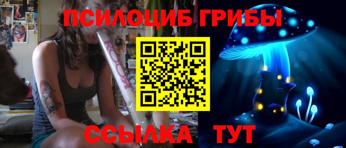 Галлюциногенные грибы Psilocybe  как найти закладки  Мурино  Вход с VPN 